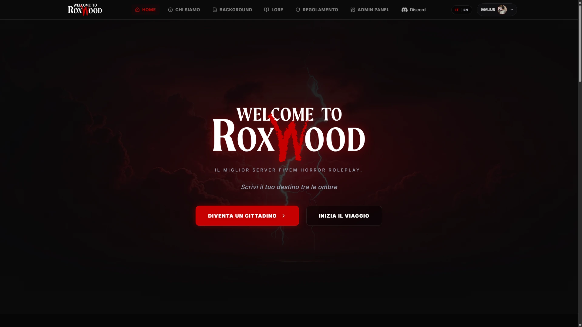 Project screenshot 1